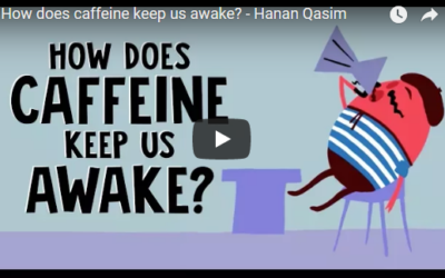 How does caffeine keep us awake? – Hanan Qasim, TED-Ed