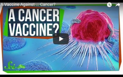 A Vaccine Against … Cancer?