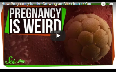 How Pregnancy Is Like Growing an Alien Inside You