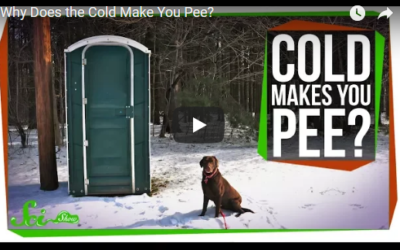 Why Does the Cold Make You Pee?