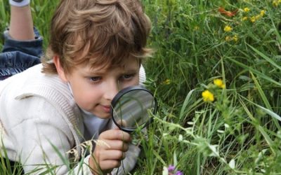 Exploring Biodiversity Through Inquiry