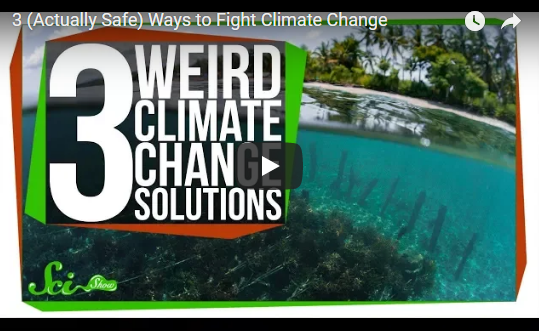 3 (Actually Safe) Ways to Fight Climate Change