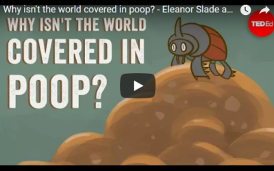 Why isn’t the world covered in poop? – TED-Ed