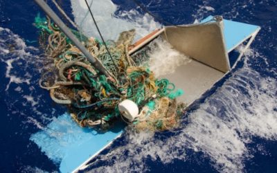 Great Pacific Garbage Patch is 16 times bigger than previously estimated, study finds