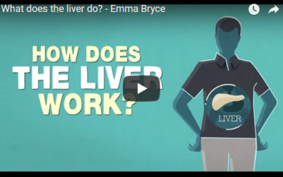 What does the liver do? – Emma Bryce
