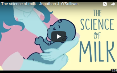 The science of milk – TED Ed