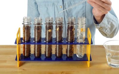 Growing Plants in Test Tubes | Science Experiments | Steve Spangler Science