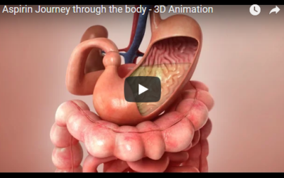 Aspirin Journey through the body – 3D Animation