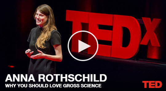 Why you should love gross science – TED Talk