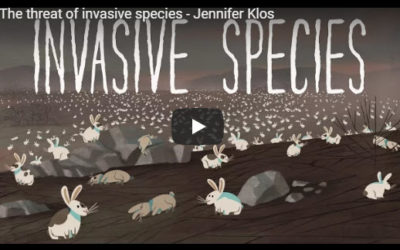 The threat of invasive species – TED Talks, Jennifer Klos