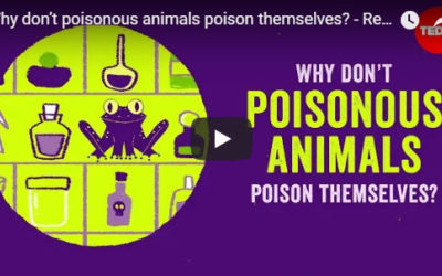 Why don’t poisonous animals poison themselves? – TED Ed by Rebecca D. Tarvin