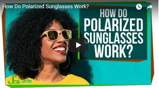 How Do Polarized Sunglasses Work?