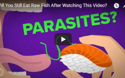 Will You Still Eat Raw Fish After Watching This Video?