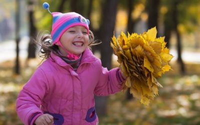 Why you might not want to rake your leaves this fall | CBC News
