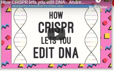 How CRISPR lets you edit DNA – TED Talk by Andrea M. Henle