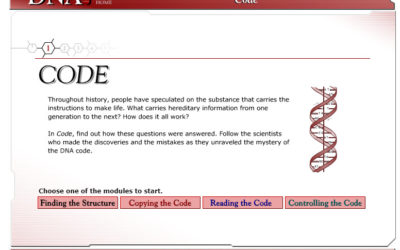 DNA Interactive: Code – submitted by Natalia Arbouzova