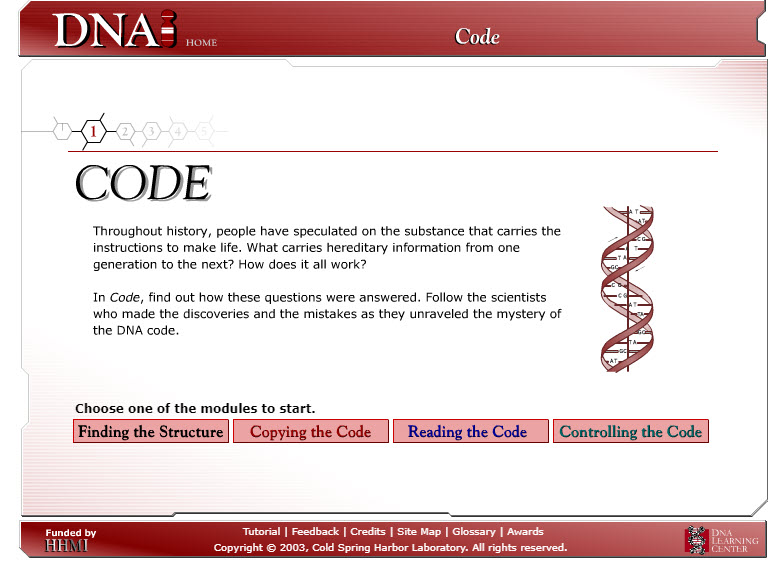 DNA Interactive: Code – submitted by Natalia Arbouzova