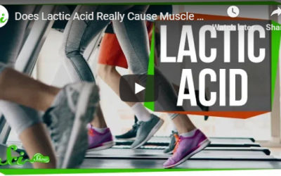 Does Lactic Acid Really Cause Muscle Pain?