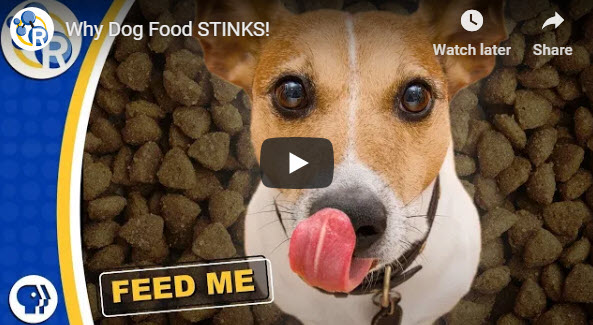 Why Dog Food STINKS!