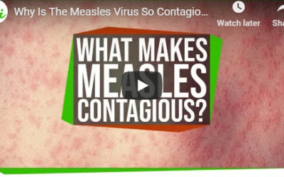 Why Is The Measles Virus So Contagious?