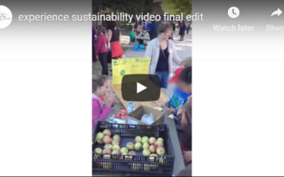 Experience Sustainability – Grade 8 | STAO Connex by Michael Frankfort and Teresa Huang