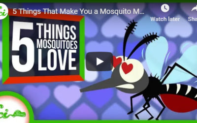 5 Things That Make You a Mosquito Magnet – YouTube