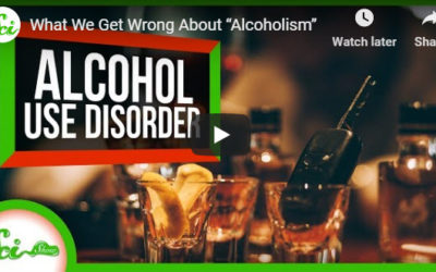(1) What We Get Wrong About “Alcoholism” – YouTube
