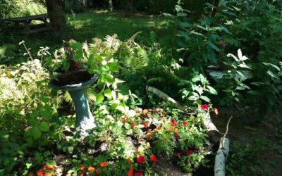 A naturalized yard: making a difference – submitted by Dave Gervais
