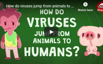 How do viruses jump from animals to humans? – TED Ed