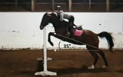 This Is Why … equestrians trust their lives to physics! – submitted by Joanne O’Meara
