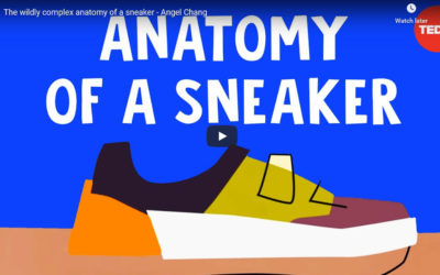 The wildly complex anatomy of a sneaker – Angel Chang, TED-Ed