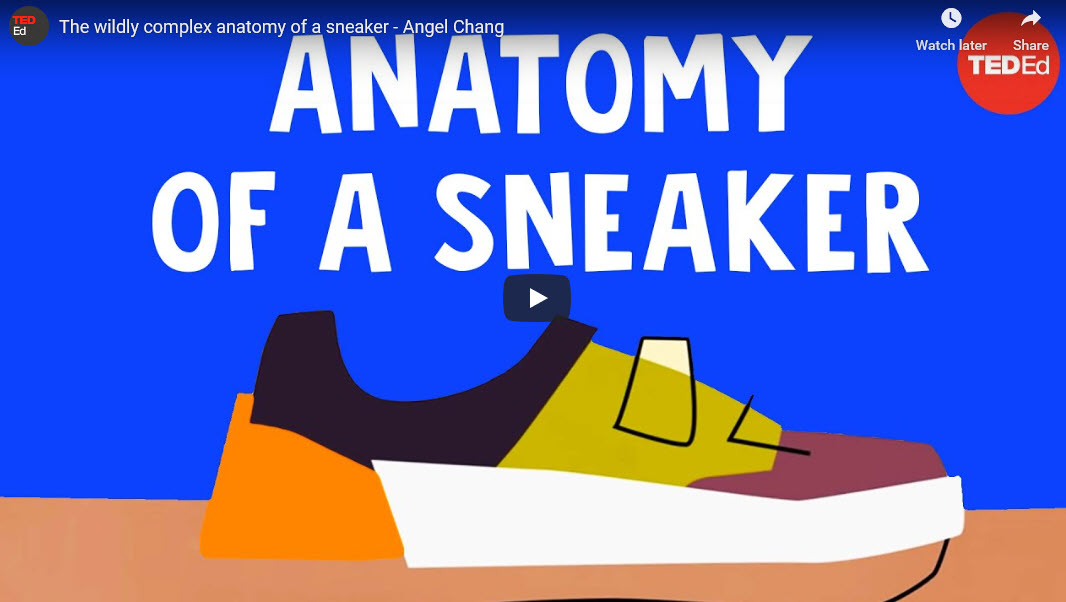 The wildly complex anatomy of a sneaker – Angel Chang, TED-Ed