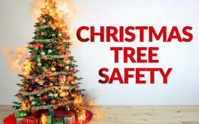 Christmas Tree Safety