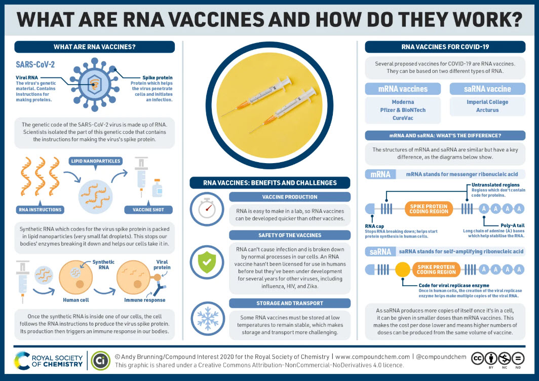 rna vaccine graphic 