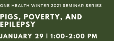 Pigs, Poverty and Epilepsy: first seminar series of the Winter 2021 The One Health Institute – University of Guelph