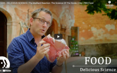 FOOD – DELICIOUS SCIENCE | The Maillard Reaction: The Science Of The Sizzle | Clip | PBS Food