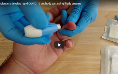 Canadian scientists develop rapid COVID-19 antibody test using firefly enzyme – CBC News, submitted by Kris Lee