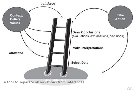observations and inferences ladder