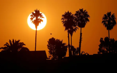Earth is trapping ‘unprecedented’ amount of heat, NASA says